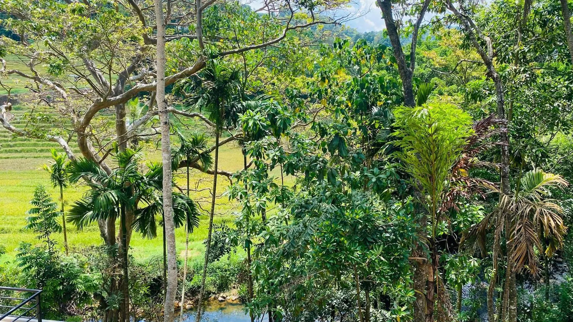 Eco Knuckles Holiday Lodge Kandy 0*,
